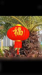 2pcs Lampion Imlek Beludru Ikan Tebal Hiasan Tahun Baru China Lampion Kain Halus Bludru Klasik