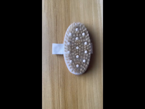 Shower Brush with Natural BristleWooden Long Handle Bath Body BrushWet or Dry Brushing