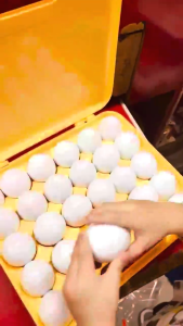 Matching Eggs Educational Color Letters and Numbers Recognition Montessori Toys for Kids