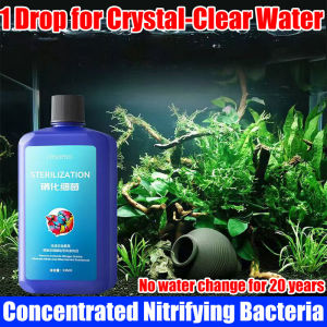 20 tahun tanpa menukar air Yee Nitrifying bakteria Yee Nitrifying bacteria 550ML 7 hours water becomes clear Nitrobacter Nitrifier for Aquarium fish medicine treatment bacteria starter aquarium 鱼缸用品 鱼乐宝 硝化细菌鱼缸 养鱼水质稳定剂