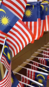 【Ready Stock】50/100/500pcs Malaysia Mini Hand Flag Jalur Gemilang Wholesale National Day Parade School Event Decoration