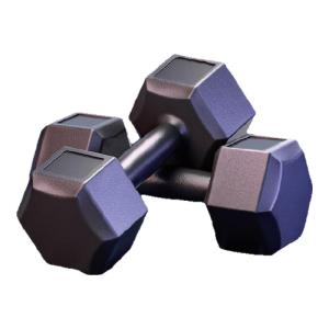 Wolk Wook | Home Workout Adjustable Dumbbells