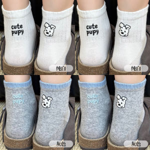Grey Short Tube Socks Womens Summer Thin Cute Cartoon Japanese Style INS Trendy Little Dog Dot Mesh Breathable Cotton Socks