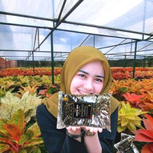 Media tanam-Soil Mix-Media Tanam Aroid Super Premium Siap Pakai