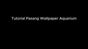 Wallpaper Aquarium - Background Aquarium Tinggi 30cm 40Cm 50cm dan 60 cm wallpaper