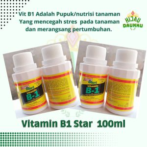 Penyubur Tanaman VITAMIN B1 LIQUINOX START Mendorong Pertumbuhan Akar