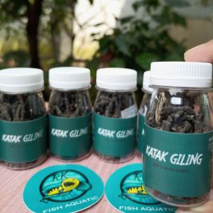 Pelet Katak Giling RKFish Aquatic Murni Katak Kodok Sawah Pakan Auranti