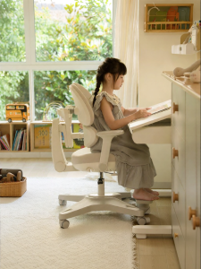 Hbada | Adjustable Posture Correction Study Chair