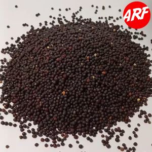 Pakan Burung Biji Sawi 250 Gram Biji Sawi Premium Untuk Kenari Finch Lovebird Dll