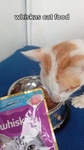 80g Whiskas Pouch Wet Cat Food Pet Essentials