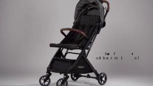 Akeeva X Evenflo Lightweight Travel Stroller (Pollux) [ONLINE EXCLUSIVE]