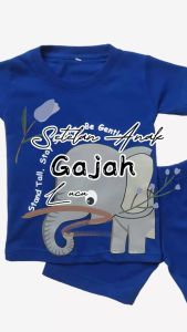 Setelan Kaos Anak dan Celana Pendek Anak Laki Laki Perempuan Usia 1-6 Tahun Hewan Gajah Warna Biru