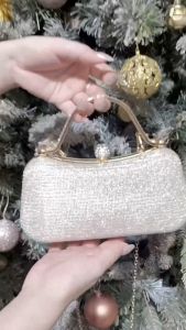 Túi xách nữ cầm tay đi tiệc đi chơi nổi bật và sang trọng