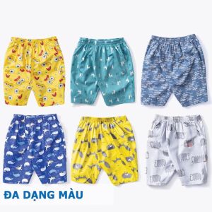 Quần Đùi Nam Mặc Nhà Thời Trang Đẹp Chất Cotton Cao Cấp