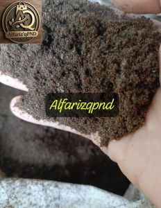 Pupuk Guano Kelelawar Murni 5 Kilo gram untuk Taman dan Kebun