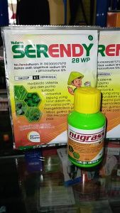 Paket Herbisida NUGRASS 69EC isi 100ml + 2 SERENDY 28 WP isi 25gr
