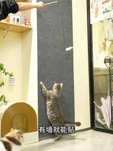 แผ่นปูรองโซฟาขูดแมวคลานกรอบโซฟาป้องกันด้วยตนเองพรมกันลื่นกระดานลับเล็บสำหรับแมวแมวของเล่นแมว