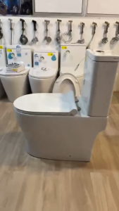 [PROMO INSTALL] Aalto AL8050 Geberit Toilet Bowl Rimless Double Vortex Flushing Design