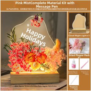 Graduation Gift Cloud Eternal Flower Night Light
