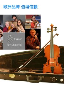 Handmade Solid Wood Violin for Beginners And Adults Professional Exam Stentor Standard Size 4/4 3/4 1/2 1/4 1/8 1/10 1/16