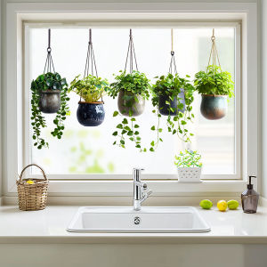 Hanging Green Potted Plant Window Clings Tropical Botanical Glass Stickers Removable Bonsai Decals for Bedroom Livingroom Offi