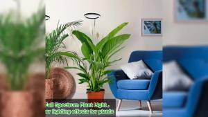 1 Đèn LED Trồng Cây Có Thể Điều Chỉnh Độ Cao Quang Phổ Đầy Đủ Tích Hợp 3 Chế Độ Hẹn Giờ Kết Nối USB Dùng Cho Cây Trồng Trong Nhà Cỡ Lớn