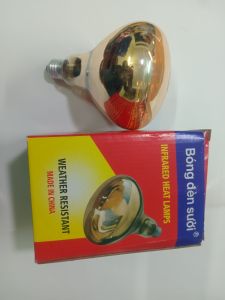 Bóng sưởi cho gia súc gia cầm hồng ngoai các loại