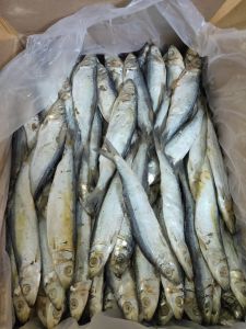 IKAN ASIN JAPUH ISI 1KG