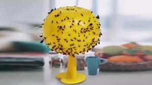 Multifunction Fruit Fly Traps Strong Sticky Catcher Midge Bee Insect Pest Traps for Orchard Garden Balconies Kitchen Dining Room