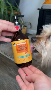 Kyndred Paws Omega Glow Oil for Dogs & Cats – Omega 3-6-9 + Lauric Acid & Vitamin E for Skin & Coat Health (100ml)