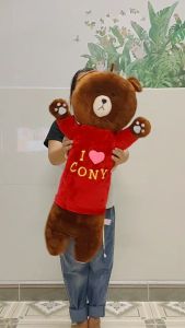 (TẶNG GẤU BÔNG COCA) ĐỒ CHƠI GẤU BÔNG GẤU BROWN