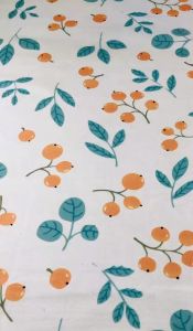 Nguồn gốc của muôn loài (bìa mềm)