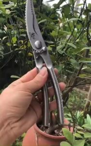 Kéo cắt gà vịt thép không gỉ nguyên khối Nhật Kai hàng nội địa sắc bén - Kéo Nhà Bếp Đa Chức Năng Để Cắt Thịt Và Xương Kéo Làm Cá Kéo Xương Gà Mạnh Mẽ