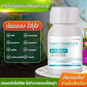 เม็ดยาฆ่าแมลงสำหรับดอกไม้สวน ยาฆ่าแมลงสำหรับพืชทั่วไป