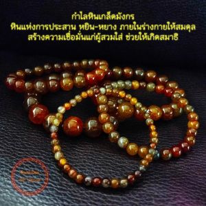 กำไลหินเกล็ดมังกร หินนำโชค หินแห่งการประสาน หยิน-หยาง ภายในร่างกายให้สมดุล สร้างความเชื่อมั่น ช่วยให้เกิดสมาธิ