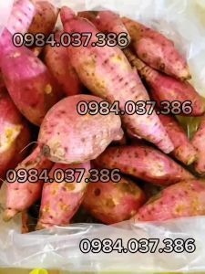 Máy vo viên bánh cà bánh nhãn bán tự động  - Tiết kiệm thời gian