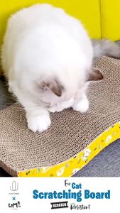 ume.mp4