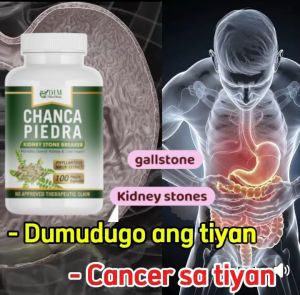 CHANCA PIEDRA CAPSULE 500mg Anti-Kidney Stones & Gallstones Breaker Remover(100 Capsule per Bottle)
