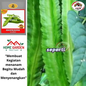 Benih Bibit Sayuran Kecipir Hijau Super F1 35 Biji Fairuz