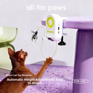 All for paws | Automatic Insect Cat Toy Charging