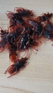 Scary Plastic Rubber Toy Cockroach Scorpion Snake Centipede Crawling Insect Children Prank Toy