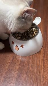 Chén ăn inox thỏ dễ thương cho thú cưng - Tiệm Mèo Moa