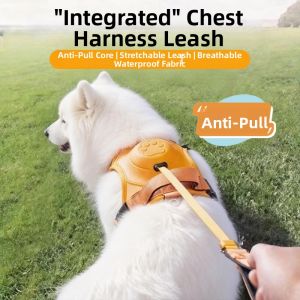 Hadassah | Adjustable Anti-Shock Chest & Leash Combined Dog Leash