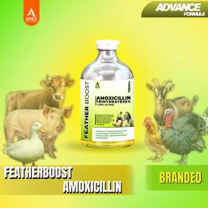 Featherboost Branded Amoxicillin Trihydrate 20% Long Acting (For animals use only!)