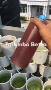 Botol Selang 1 Liter Air Minum Burung Pakan Ikan Kutu Air Cacing Encuk