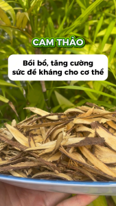 Rễ cam thảo bắc sấy khô - Chuyên dùng để pha trà giúp giảm đau họng hiệu quả - Thảo Dược Tấn Phát