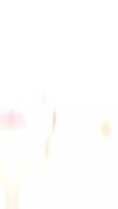 BEEME HIJAB TASSEL  KEPANG ALL COLOR -  115 x115 cm HITAM PUTIH COKLAT BLUE JEANS WARDAH NAVY ABU MERAH CABE MUSTARD LEMON BEIGE MINT GREEN HIJAU BOTOL ROYAL BLUE FLAMINGGO PLUMP