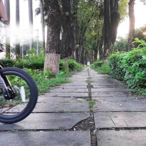 Meroca | MEROCA130BCD Bicycle Single Chainring 46/48/50/52/54/56/58T Ultra-light Aluminum Alloy Folding Bicycle Chain Ring