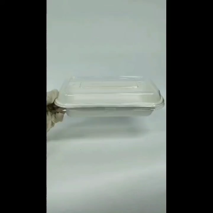 Biodegradable 680ml & 950ml Rectangular Container with PET Lid / Bio Bagasse Takeaway Lunch Box