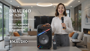 BM AUDIO SP-A200S 8-Inch Portable Bluetooth Karaoke Speaker with Wireless Microphone USB Micro SD FM AUX LED Lights Remote Control